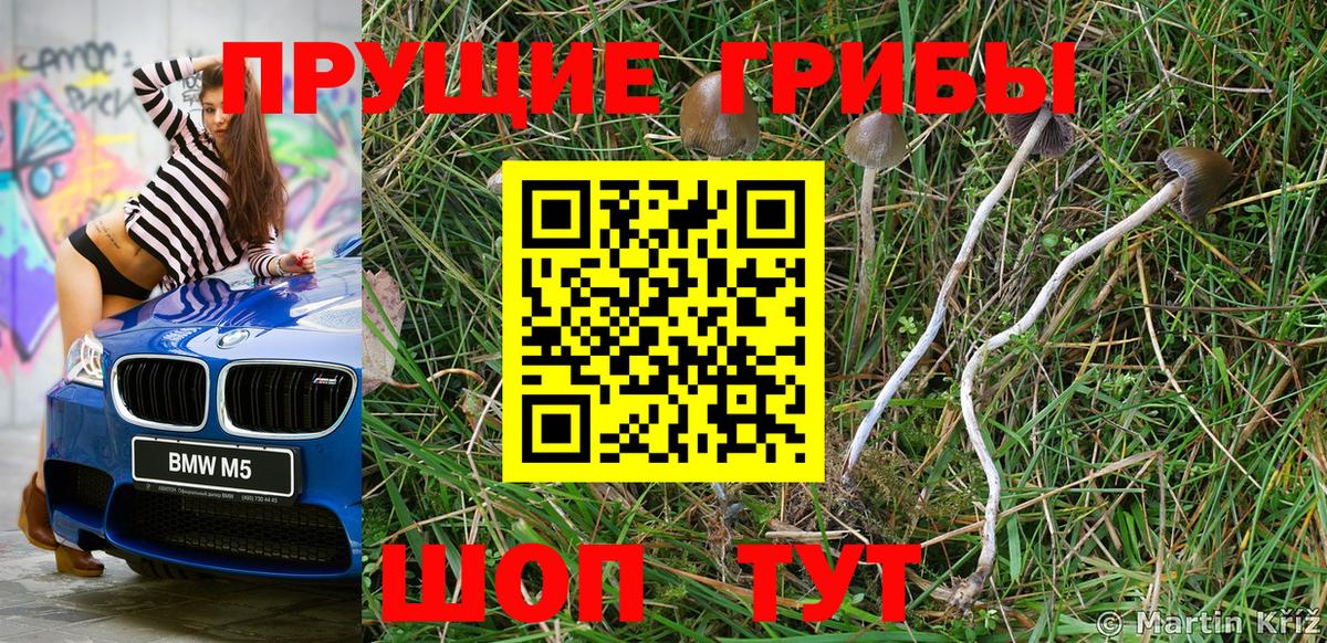 Галлюциногенные грибы Cubensis Кыштым