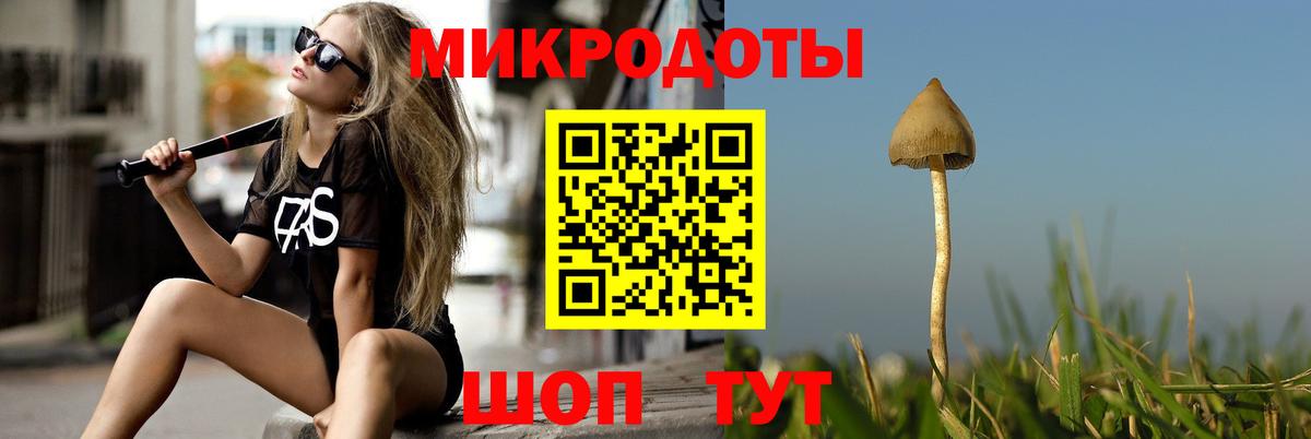 Галлюциногенные грибы Psilocybe  Вход с VPN  как найти закладки  Кыштым  Галлюциногенные грибы GOLDEN TEACHER 